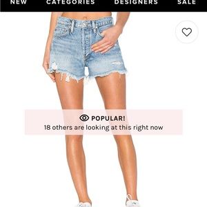 Agolde Parker Vintage Cut Off in Swapmeet